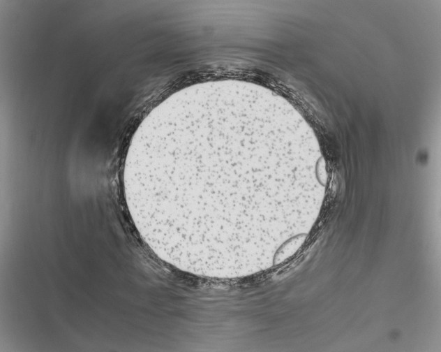 X0000116560771201001211222