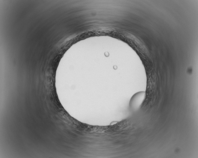 X0000116560773201001211222