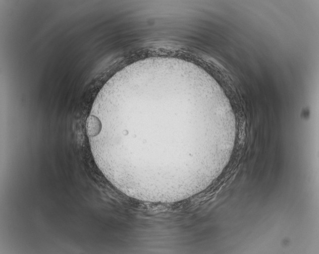 X0000116560774201001211222
