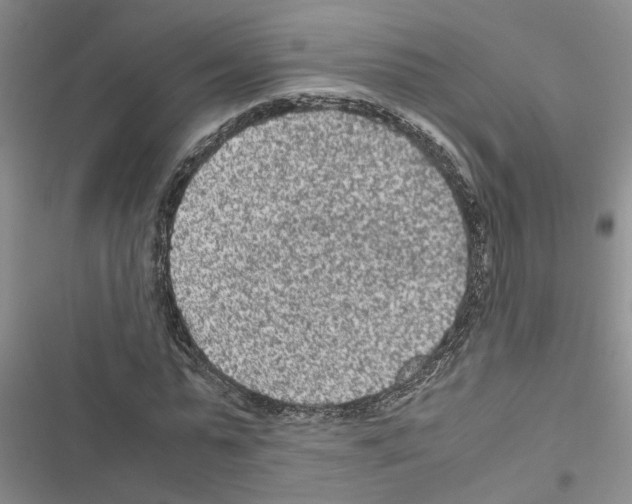 X0000116560775201001211222