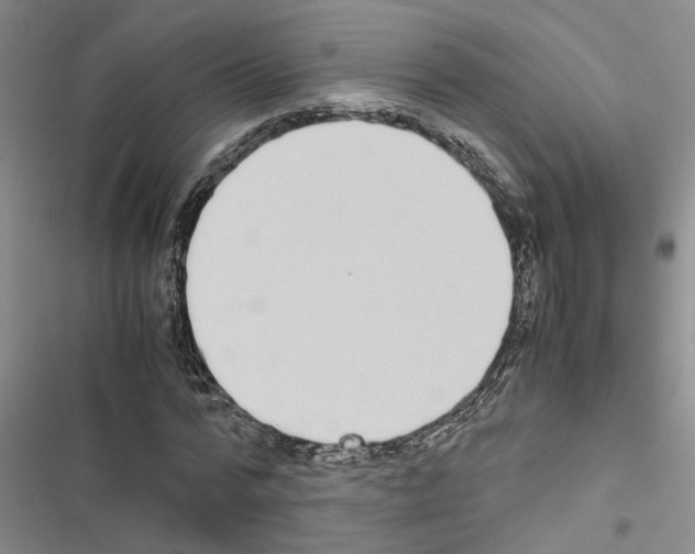 X0000116560776201001211222