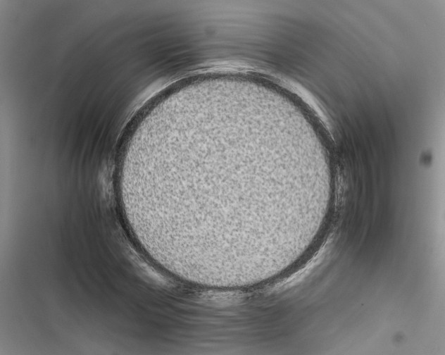X0000116560778201001211222