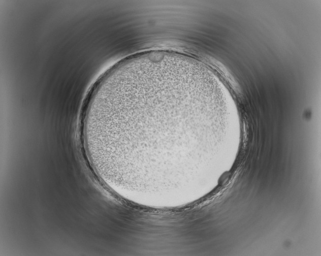 X0000116560780201001211222