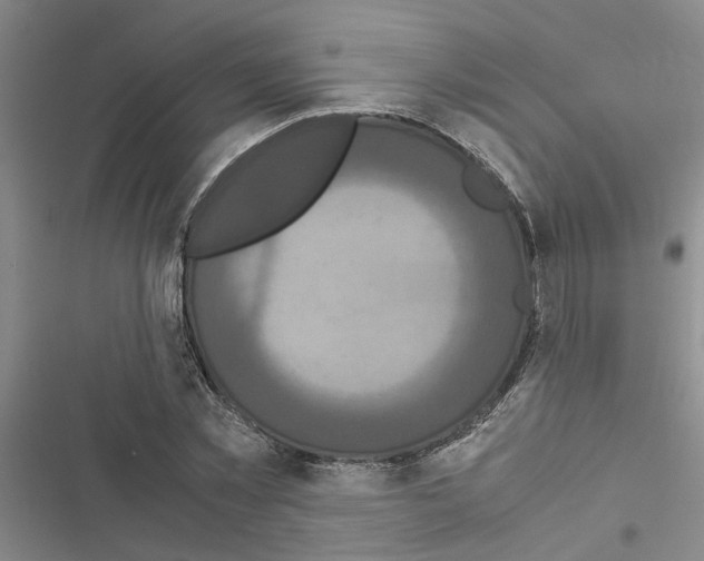X0000116560781201001211222