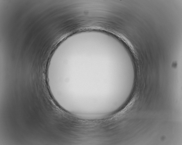 X0000116560785201001211222
