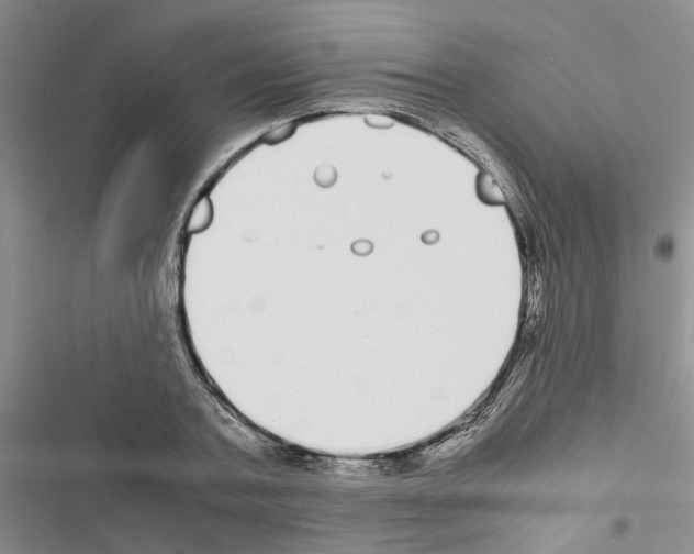 X0000116560787201001211222