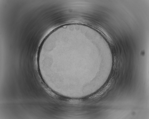 X0000116560788201001211222