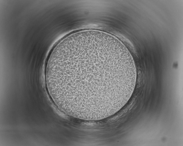 X0000116560792201001211222