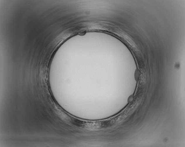 X0000116560793201001211222