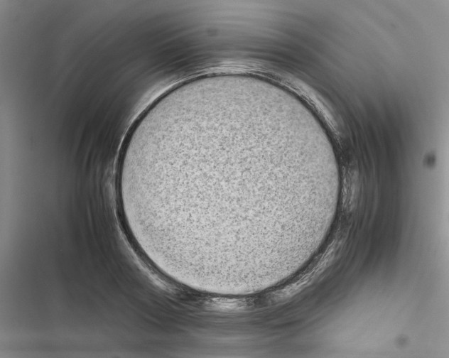 X0000116560794201001211222