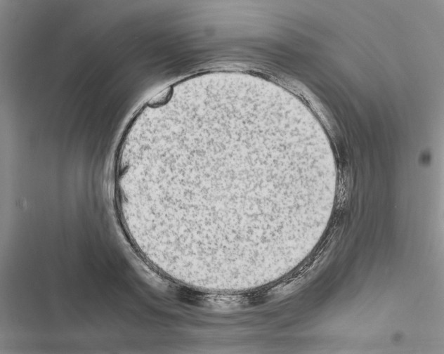 X0000116560795201001211221