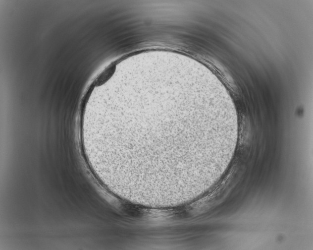 X0000116560796201001211221