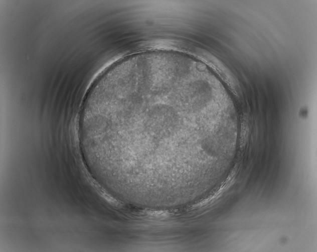 X0000116560798201001211221