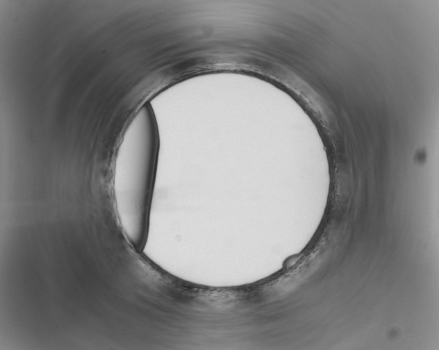 X0000116560801201001211221