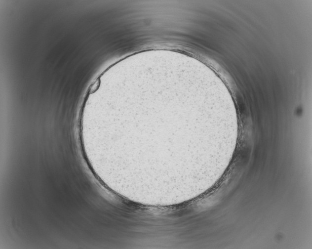 X0000116560803201001211221