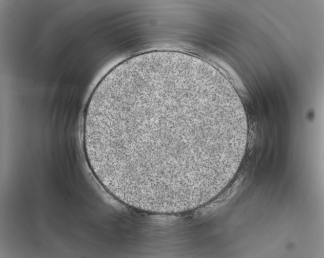 X0000116560804201001211221