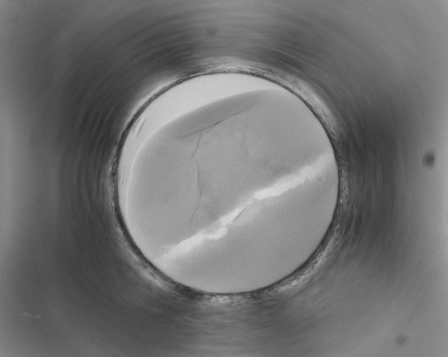 X0000116560806201001211221