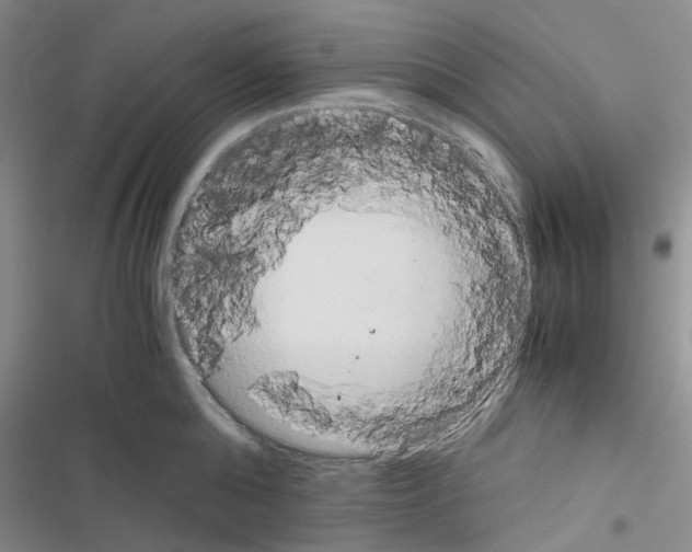 X0000116560808201001211221