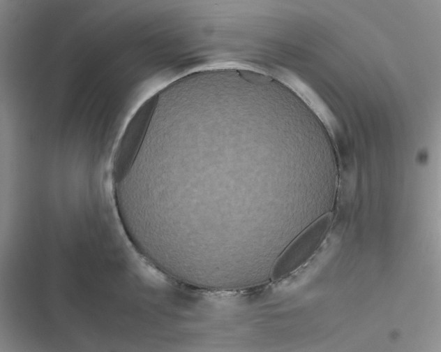 X0000116560813201001211221