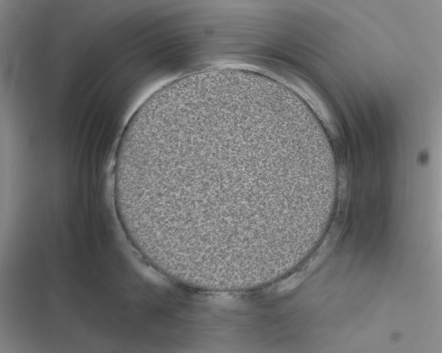 X0000116560814201001211221