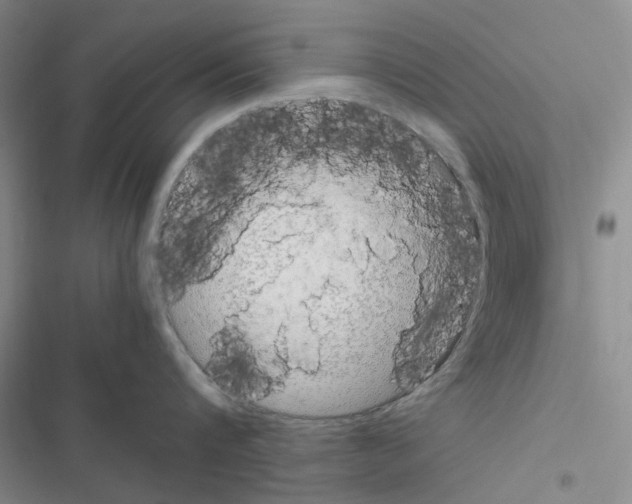 X0000116560816201001211221