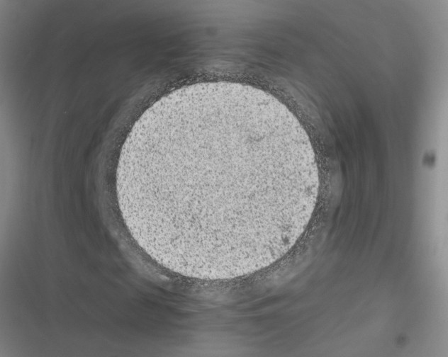 X0000116560817201001211221
