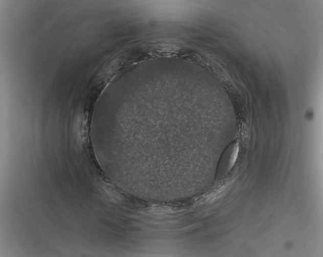 X0000116560818201001211221