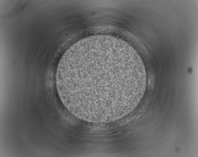 X0000116560819201001211221