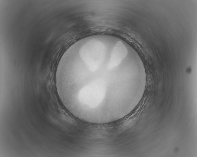 X0000116560820201001211221