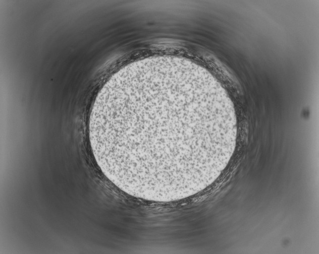 X0000116560821201001211221