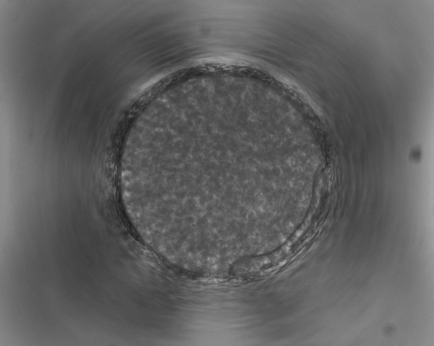 X0000116560822201001211221