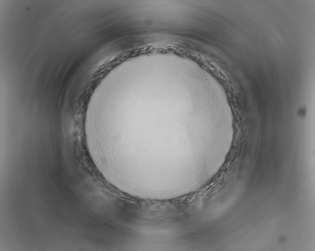 X0000116560824201001211221