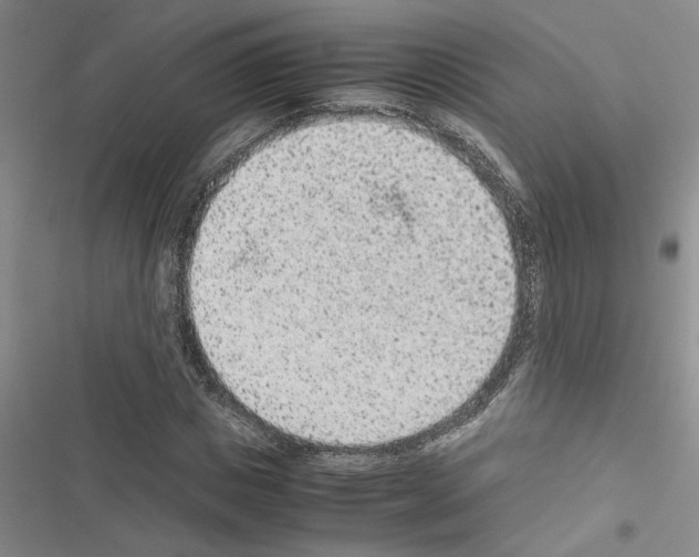 X0000116560825201001211221