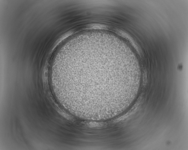 X0000116560827201001211221