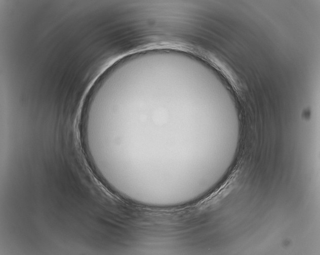 X0000116560828201001211221