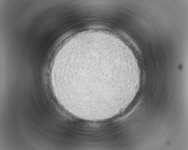 X0000116560829201001211221