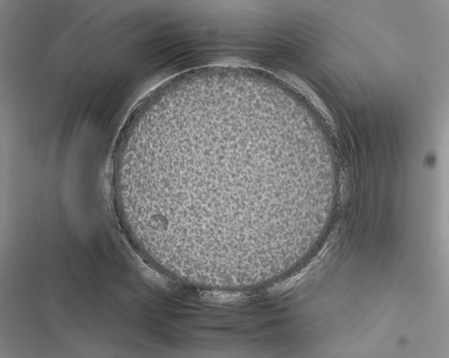 X0000116560831201001211221