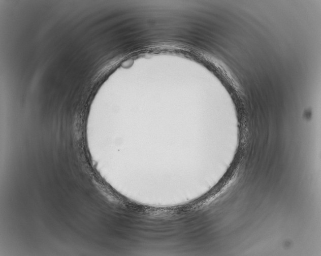 X0000116560833201001211221