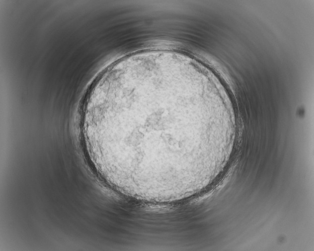 X0000116560835201001211221