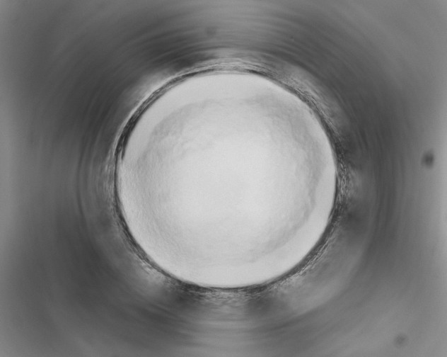 X0000116560836201001211221