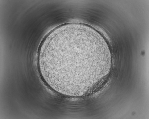 X0000116560839201001211221