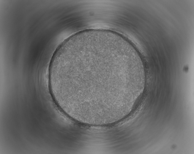 X0000116560840201001211221