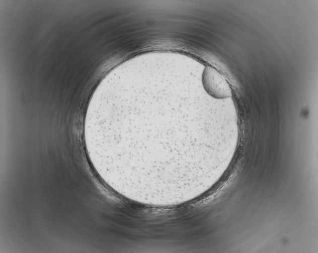 X0000116560841201001211221