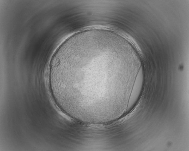 X0000116560844201001211221