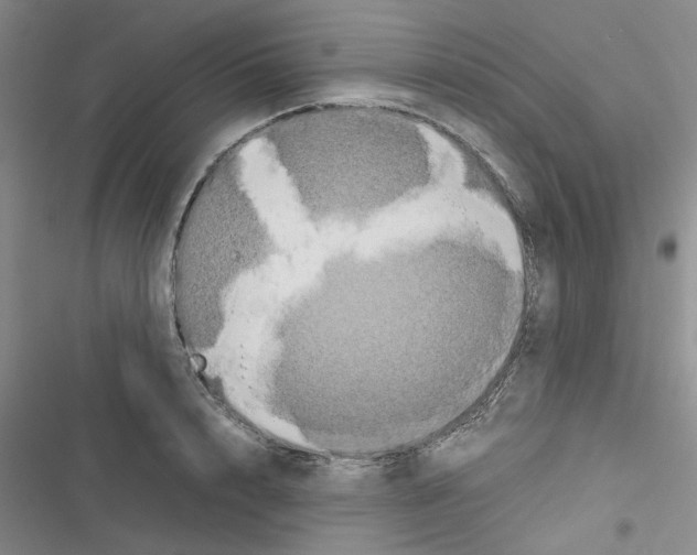 X0000116560848201001211221