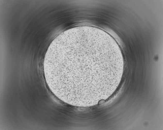 X0000116560857201001211221