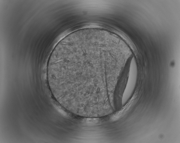 X0000116560858201001211221