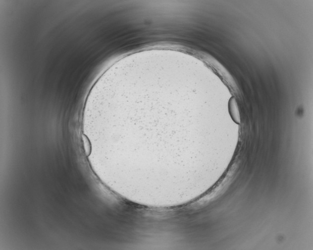 X0000116560860201001211221