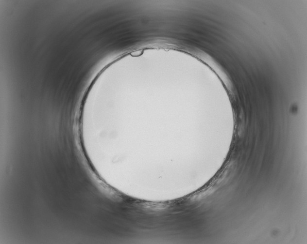 X0000116560861201001211221