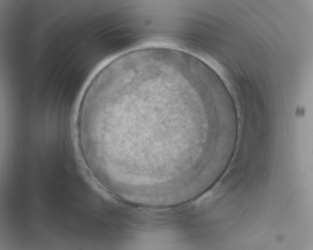 X0000116560864201001211221